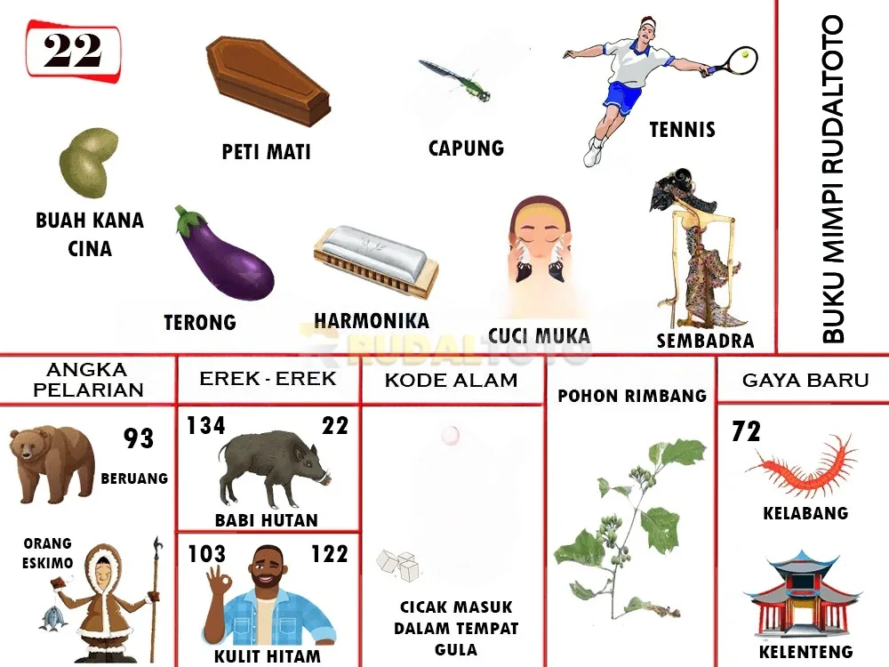 buku mimpi erek erek togel 22