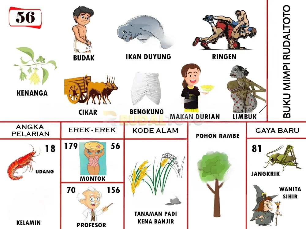 buku mimpi erek erek togel 56